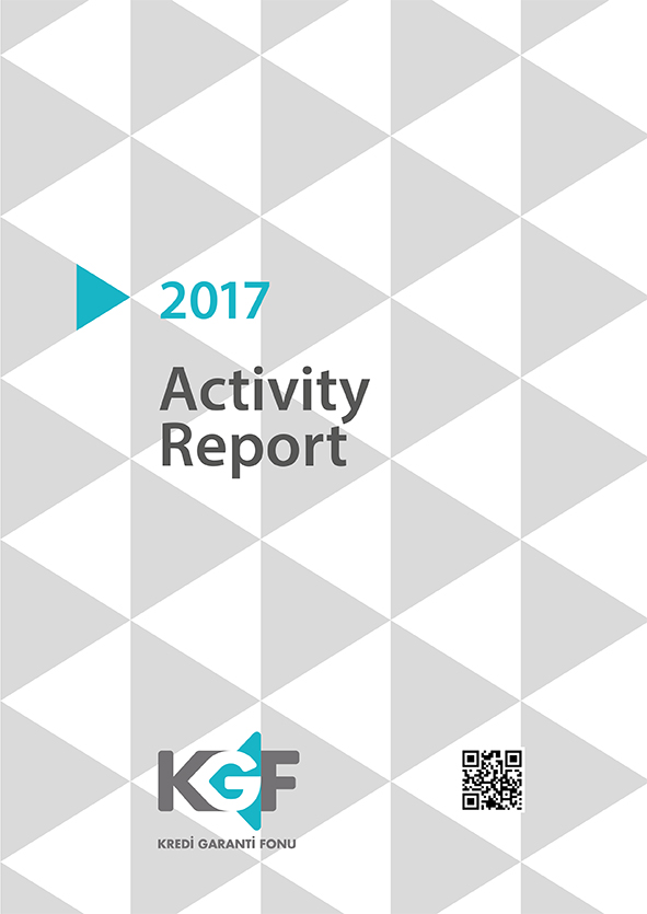 KGF 2017 Activity Report